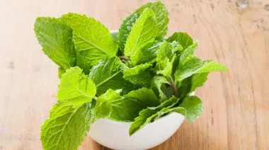 garnishing-instructions-image